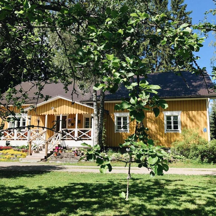 Ollilan Tupa Joensuun Laehellae Panzió Ylämylly Kültér fotó