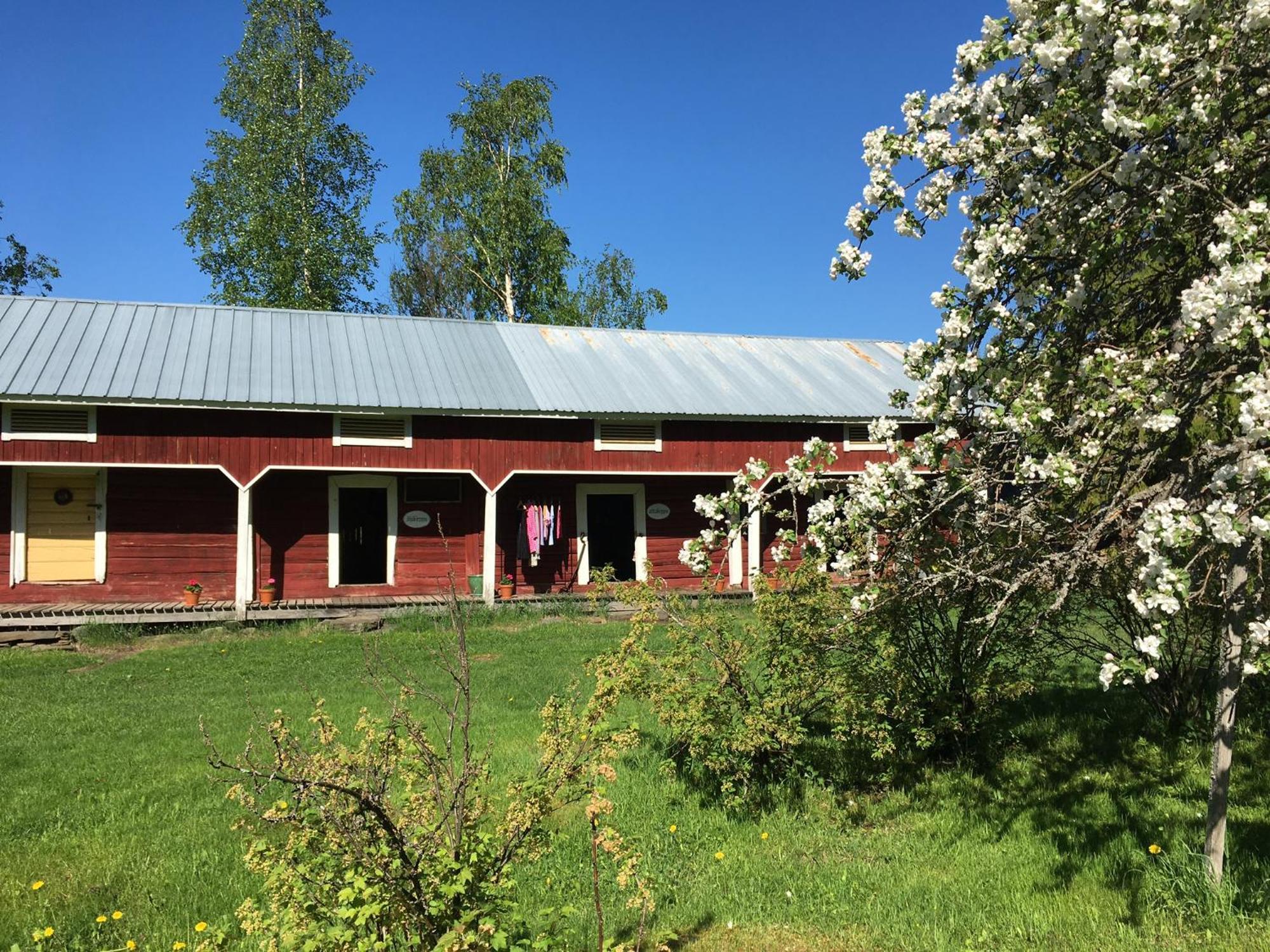 Ollilan Tupa Joensuun Laehellae Panzió Ylämylly Kültér fotó